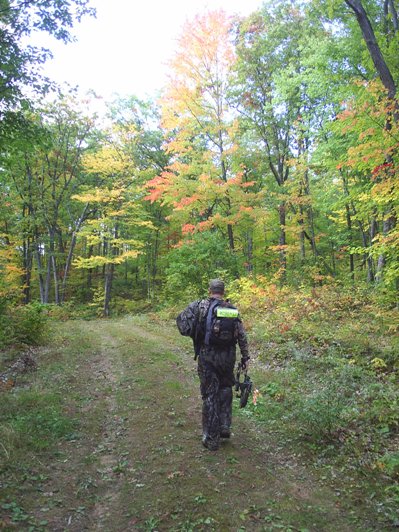 hunter walking into woods